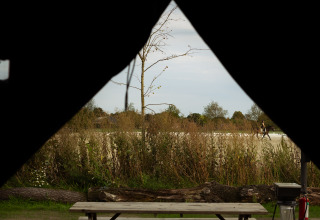 Vista dall'interno di una tenda su tavolo da picnic e natura a Feather Down Het Keelven, Noord-Brabant, Olanda.