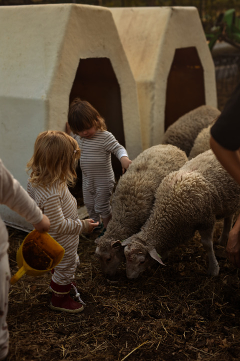 Bambini in pigiama a righe danno da mangiare alle pecore davanti alle casette di Feather Down Het Keelven, Brabante Settentrionale, Paesi Bassi.