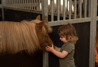 A young child gently pets a pony in a stable at Feather Down Het Keelven holiday park in North-Brabant, Netherlands.