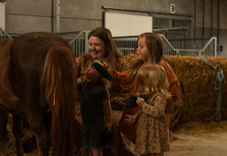 Kinderen en een volwassene borstelen een pony in een schuur bij Feather Down Het Keelven, Noord-Brabant, Nederland.