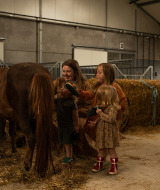Kinderen en een volwassene borstelen een pony in een schuur bij Feather Down Het Keelven, Noord-Brabant, Nederland.