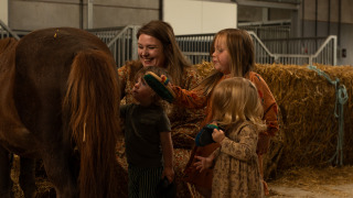 Kinderen en een volwassene borstelen een pony in een schuur bij Feather Down Het Keelven, Noord-Brabant, Nederland.