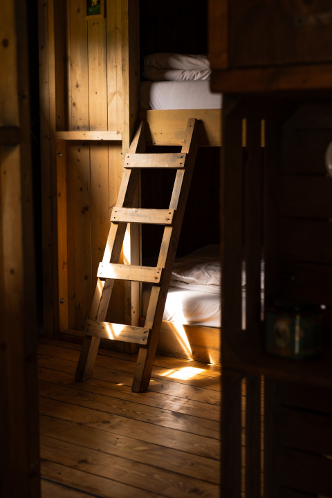 Intérieur en bois avec lits superposés et échelle au soleil chez Feather Down Het Keelven, Pays-Bas.