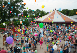 Party with balloons - De Zandstuve - Rheeze, Overijssel, Netherlands
