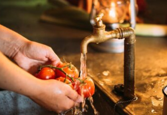 Person wäscht frische Tomaten unter fließendem Wasser aus einem alten Hahn in einem Safari-Zelt.