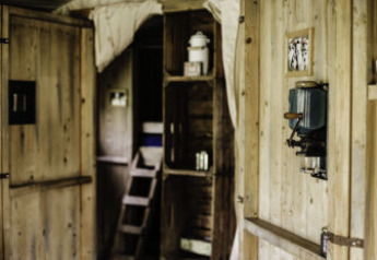 Intérieur d'une tente safari avec murs en bois rustiques, échelle et décoration sobre et vintage.