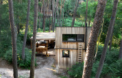 Wood-clad cabin with hot tub nestled among tall trees in Limburg forest, Belgium, viewed from trail.