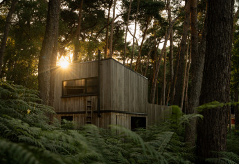 Comfort Classic hut met hot tub in de bossen van Limburg, België, met zonlicht door de bomen.