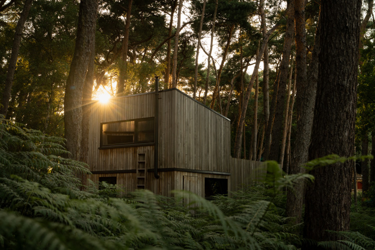 Cabaña de madera moderna con bañera de hidromasaje, llamada Comfort Classic, en el bosque de Limburg, Bélgica.
