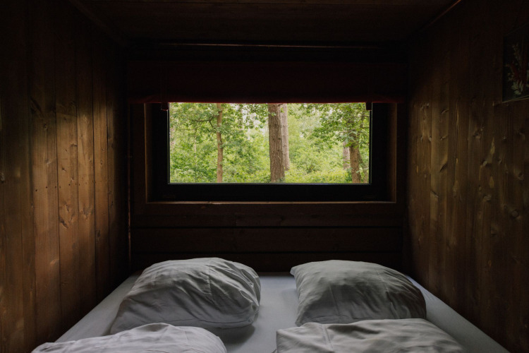 Blick aus einer gemütlichen Holzhütte im Wald von Limburg, Belgien, mit Bett und Kissen im Vordergrund.