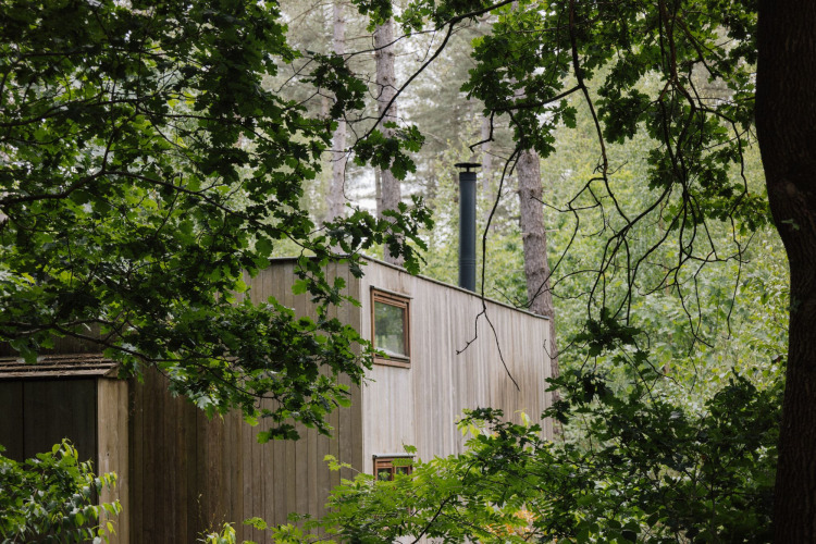 Holzhütte Classic von Cosy Cabins, versteckt im Wald von Limburg, Belgien, umgeben von Bäumen.