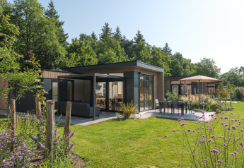 Moderne Essenburgh Comfort-lodge med store vinduer, udendørs siddeplads og grøn have omgivet af træer.