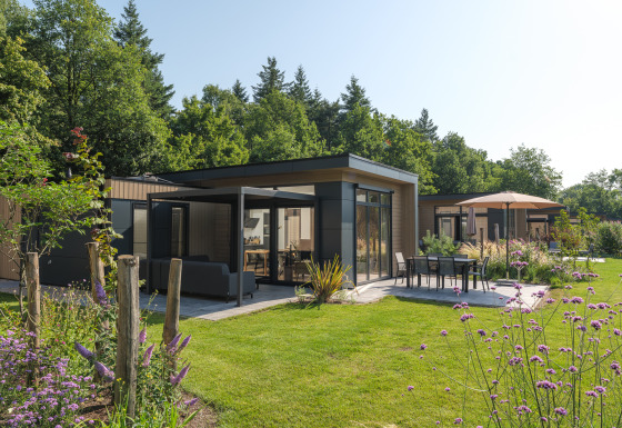 Moderne Essenburgh Comfort-lodge met ruim terras, grote raampartijen en een groene tuin in bosrijke omgeving.