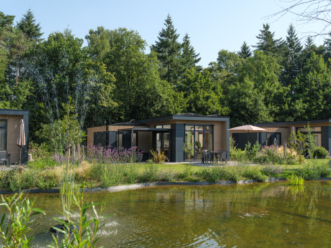 Moderne Essenburgh Comfort lodge aan een vijver op Veluwepark de Bosgraaf in Nederland, omringd door bomen.