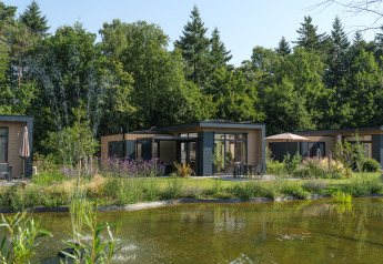 Modern Essenburgh Comfort lodge by a pond at Veluwepark de Bosgraaf in the Netherlands, surrounded by trees.