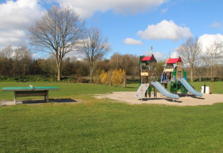 Table tennis and playground - De Zandstuve - Rheeze, Overijssel, Netherlands