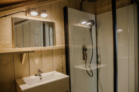 Moderne badkamer met houten panelen, spiegel, wastafel en douche in Ranger Lodge, Veluwepark de Bosgraaf.
