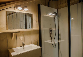 Moderne badkamer met houten panelen, spiegel, wastafel en douche in Ranger Lodge, Veluwepark de Bosgraaf.