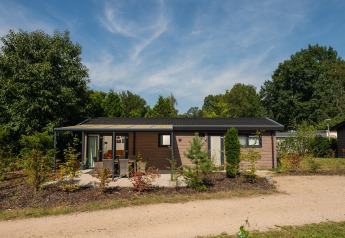 Veluwe Lodge set udefra en solrig dag, omgivet af grønne buske og træer, med en siddeplads foran.