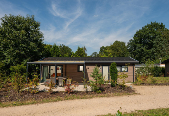 Veluwe Lodge exterior view on a sunny day, surrounded by green trees, bushes, and an outdoor seating area.