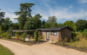 Veluwe Lodge at Veluwepark de Bosgraaf in the Netherlands, surrounded by greenery, trees, and a sandy path.