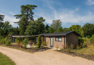 Veluwe Lodge in Veluwepark de Bosgraaf in Nederland, omringd door groen, bomen en een zandweggetje.