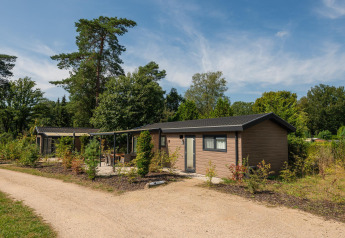 Veluwe Lodge ved Veluwepark de Bosgraaf i Holland, omgivet af træer, natur og en sandsti om sommeren.