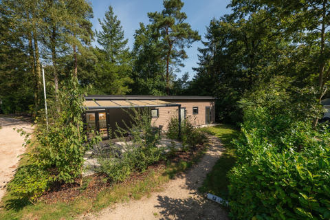 Forest Lodge set fra oven, omgivet af frodige grønne træer og buske, med en solrig terrasse foran.