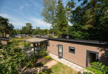 Forest Lodge im Veluwepark de Bosgraaf, Niederlande, mit moderner Terrasse und umgeben von Bäumen.