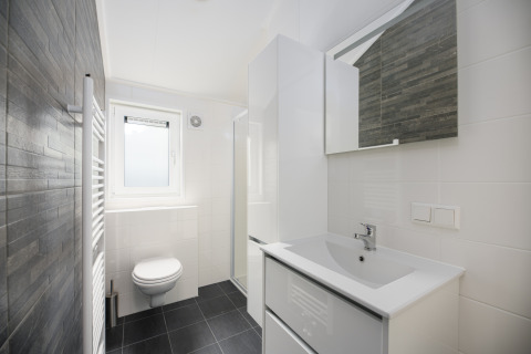 Baño moderno en la cabaña Loevestein en Veluwepark de Bosgraaf, Países Bajos, con diseño minimalista.