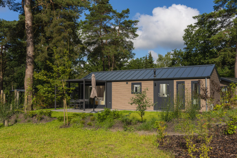 Moderne Holz-Lodge umgeben von grünen Pflanzen und hohen Bäumen unter blauem Himmel mit Wolken.