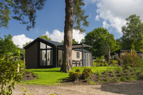 Moderne Lodge mit großen Fenstern und Terrasse, umgeben von grüner Natur und Bäumen im Sommer.
