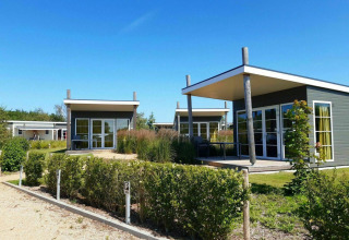 Moderne vakantiehuisjes met grote ramen op Kompas Camping Nieuwpoort, onder een heldere blauwe lucht.