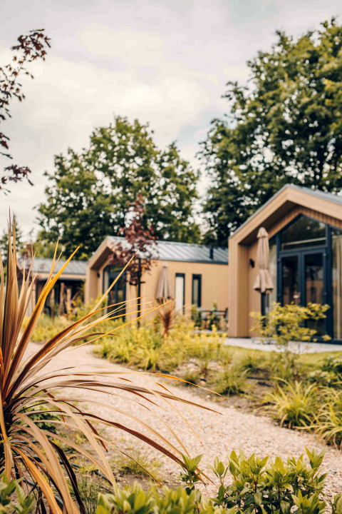 Photo de tiny houses modernes entourées de végétation et arbres, avec un chemin de gravier devant.