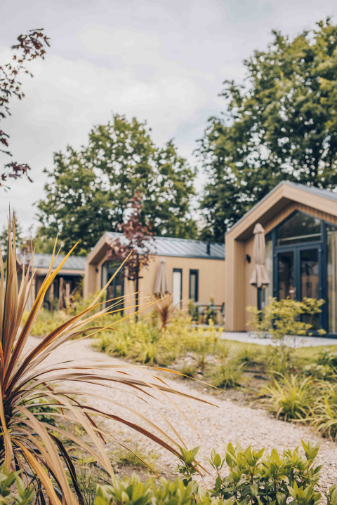 Photo de tiny houses modernes entourées de végétation et arbres, avec un chemin de gravier devant.