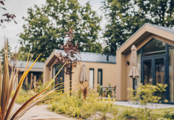 Photo de tiny houses modernes entourées de végétation et arbres, avec un chemin de gravier devant.