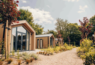 Photo de tiny houses modernes entourées de verdure et d’un chemin de gravier, en pleine nature paisible.
