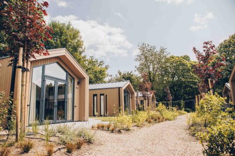 Photo de tiny houses modernes entourées de verdure et d’un chemin de gravier, en pleine nature paisible.