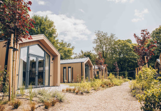 Billede af moderne tiny houses omgivet af grønt og grussti under en klar, solrig himmel i naturen.