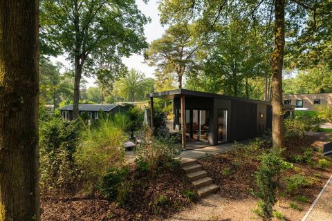 Moderna Sand Lodge Comfort con facciata scura immersa tra alberi alti e vegetazione rigogliosa in foresta.