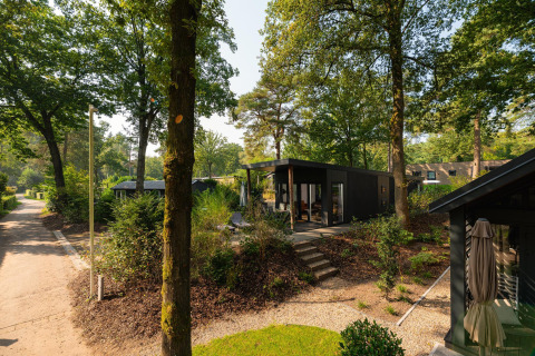 Moderne Sand Lodge Comfort in Veluwepark de Bosgraaf, Nederland, te midden van een groene bosrijke omgeving.