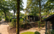 Moderne Sand Lodge Comfort in Veluwepark de Bosgraaf, Nederland, omringd door hoge, groene bomen.