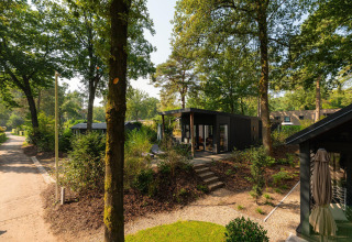 Moderne Sand Lodge Comfort i Veluwepark de Bosgraaf, Holland, omgivet af grøn skov og solskin.