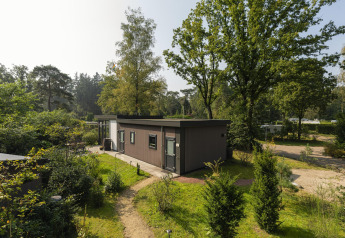 Heather Lodge with a modern look surrounded by lush greenery, tall trees, and winding paths in nature.