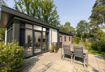 Außenansicht der Heather Lodge im Veluwepark de Bosgraaf mit moderner Terrasse und umgeben von Natur.