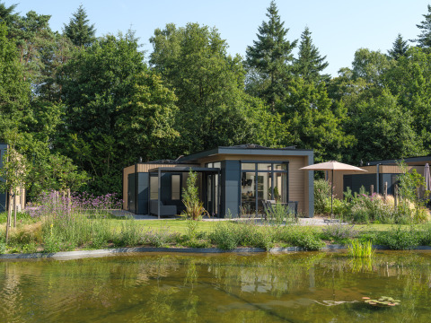 Moderne Lodge am Teich mit grüner Bepflanzung, Essenburgh Comfort im Veluwepark de Bosgraaf, Niederlande.