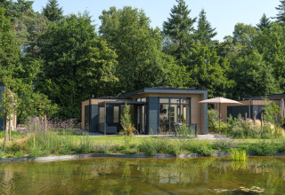 Moderne lodge bij een vijver, omringd door natuur, Essenburgh Comfort, Veluwepark de Bosgraaf.