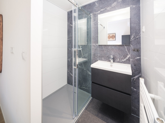 Modern badkamer in Essenburgh Comfort, Veluwepark de Bosgraaf, met douche en wastafel.
