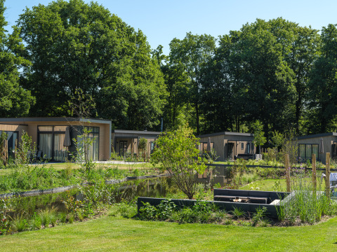 Moderne lodges med varme kar på Veluwepark de Bosgraaf i Holland, omgivet af grønne træer og dam.