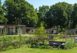 Lodges modernes avec bain à remous au Veluwepark de Bosgraaf, Pays-Bas, entourés d’arbres et d’étang.